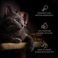 Sheba Melty Spoons Creamy Chicken & Chicken Shreds Treat For Cat - 40 gm Packs - Heads Up For Tails