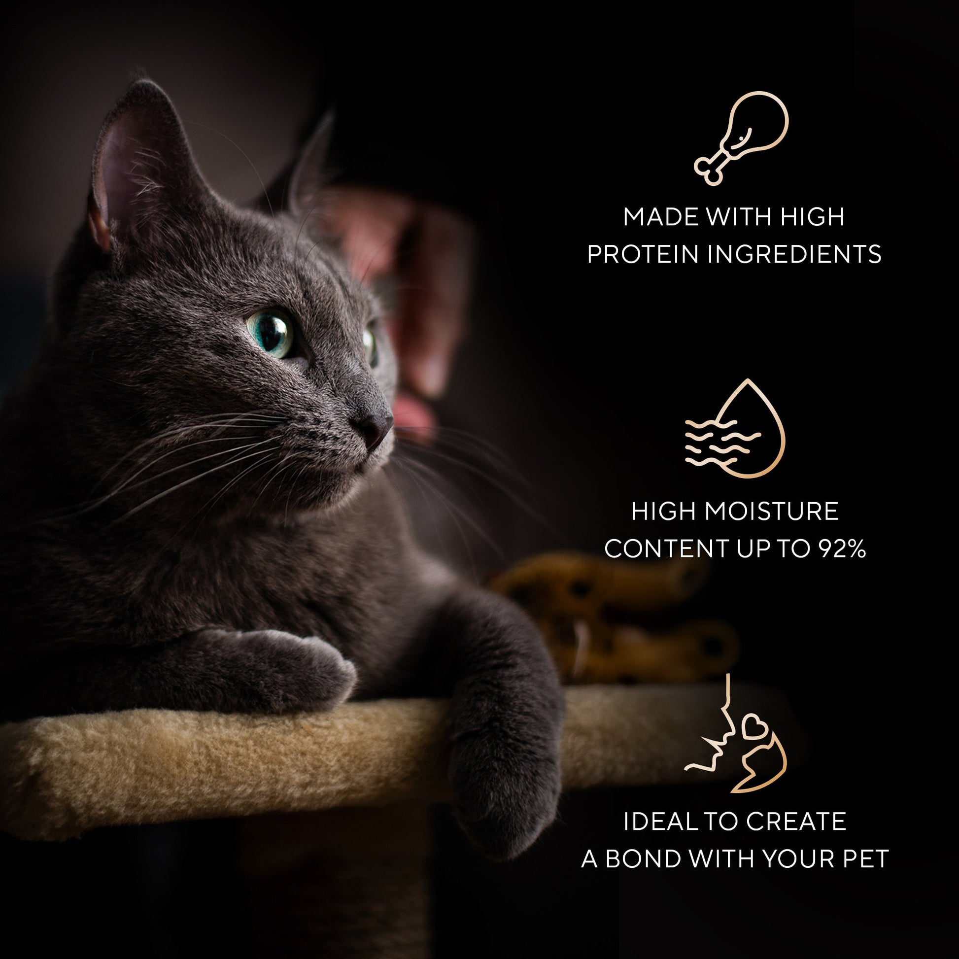 Sheba Melty Spoons Creamy Chicken & Chicken Shreds Treat For Cat - 40 gm Packs - Heads Up For Tails