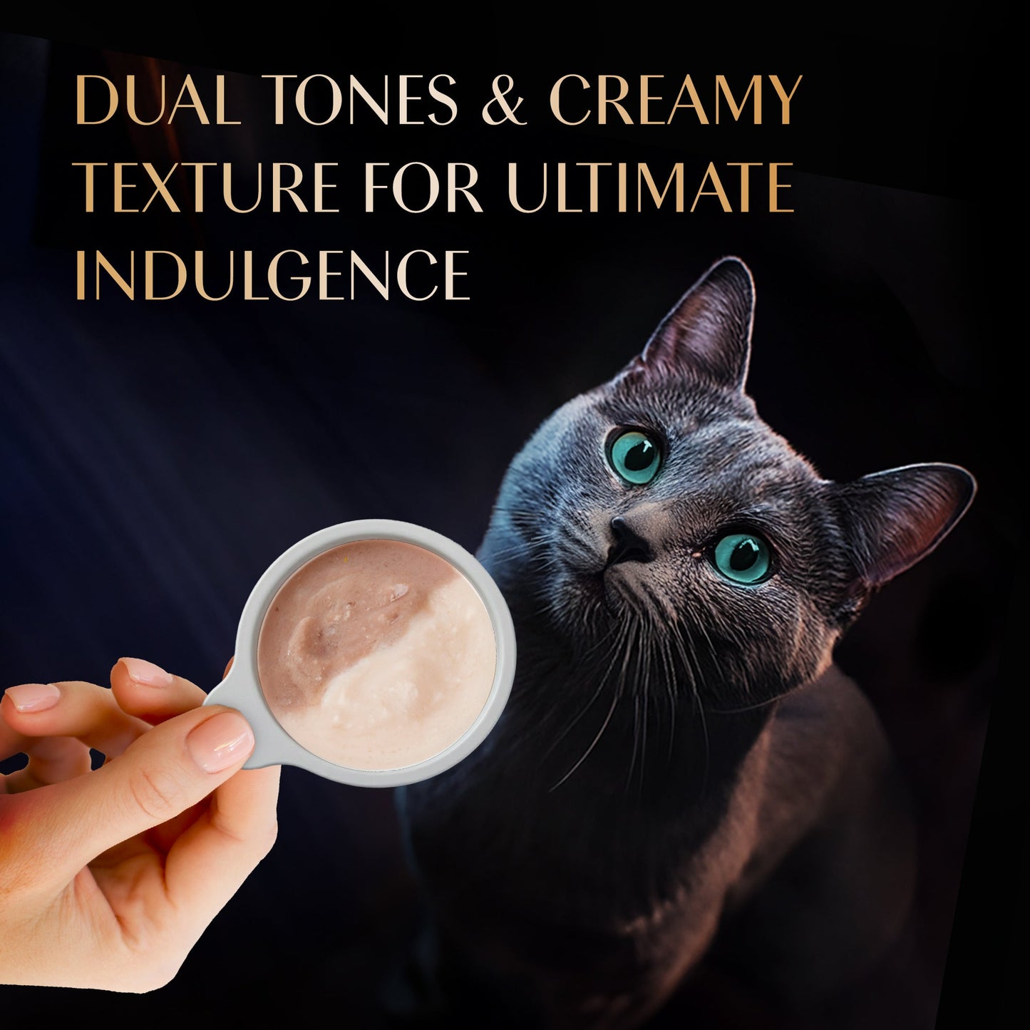 Sheba Melty Spoons Maguro Flavour With Tuna Cream Treat For Cat - 40 gm Packs - Heads Up For Tails