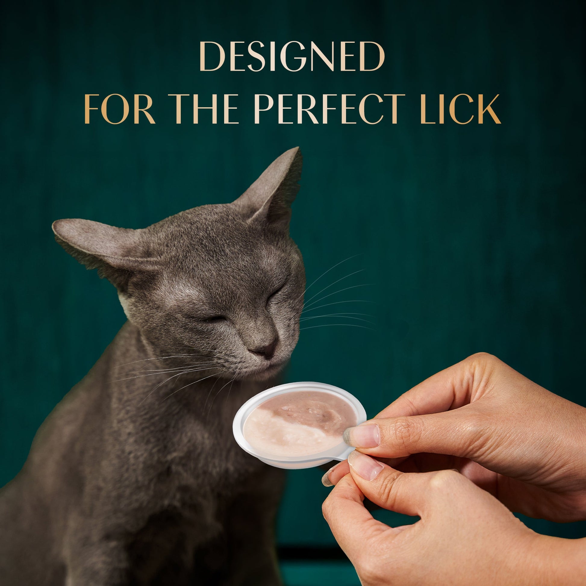Sheba Melty Spoons Maguro Flavour With Tuna Cream Treat For Cat - 40 gm Packs - Heads Up For Tails