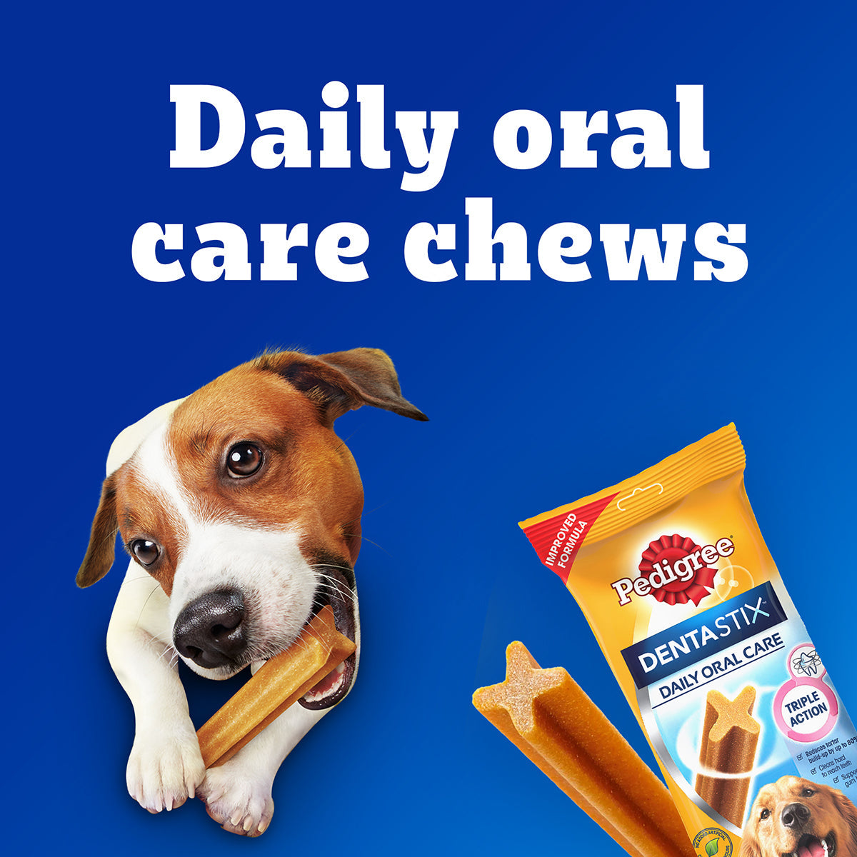 Pedigree Dentastix Dog Treat Weekly Pack For Large Breed - 270 g - Heads Up For Tails