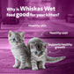 Whiskas Junior Kitten (2-12 Months) Salmon in Jelly Flavour Wet Cat Food - 80 gm Pack