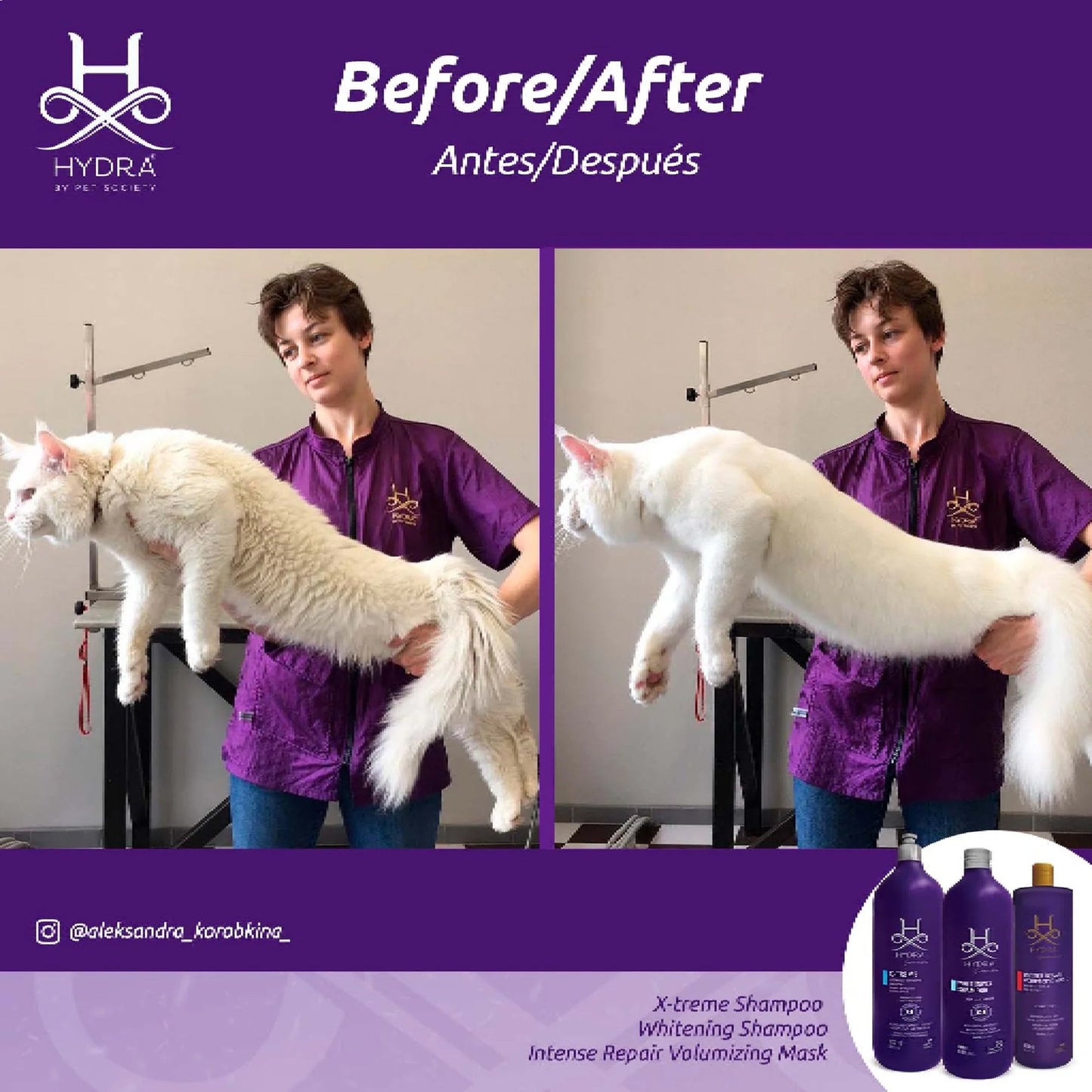 Hydra Groomers Whitening Shampoo For Dog & Cat - 1 Ltr - Heads Up For Tails
