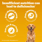 Pedigree Meat & Rice Dry Food For Adult Dog