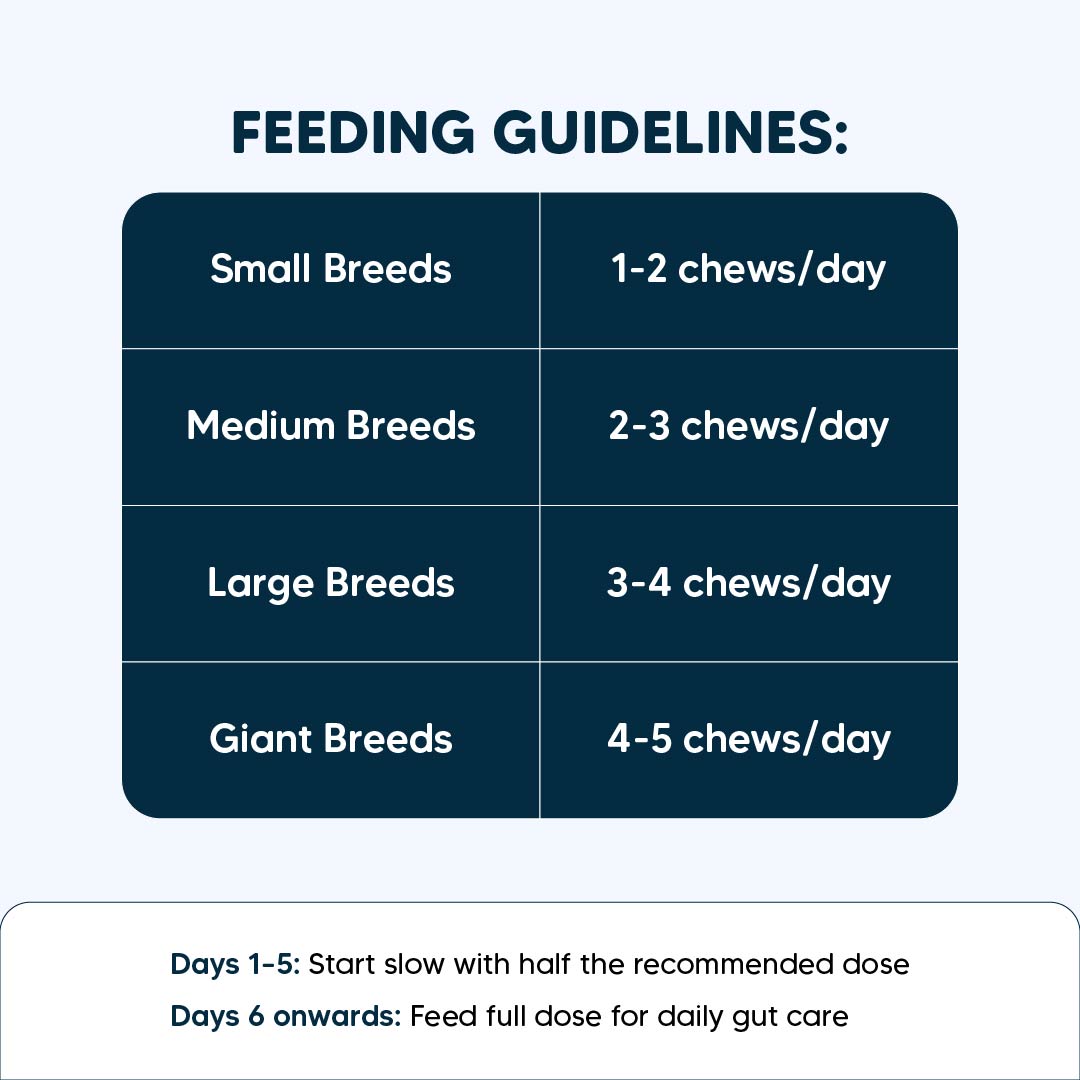 Sara's Daily Probiotic Chews: Gut & Digestive Support - 70 g