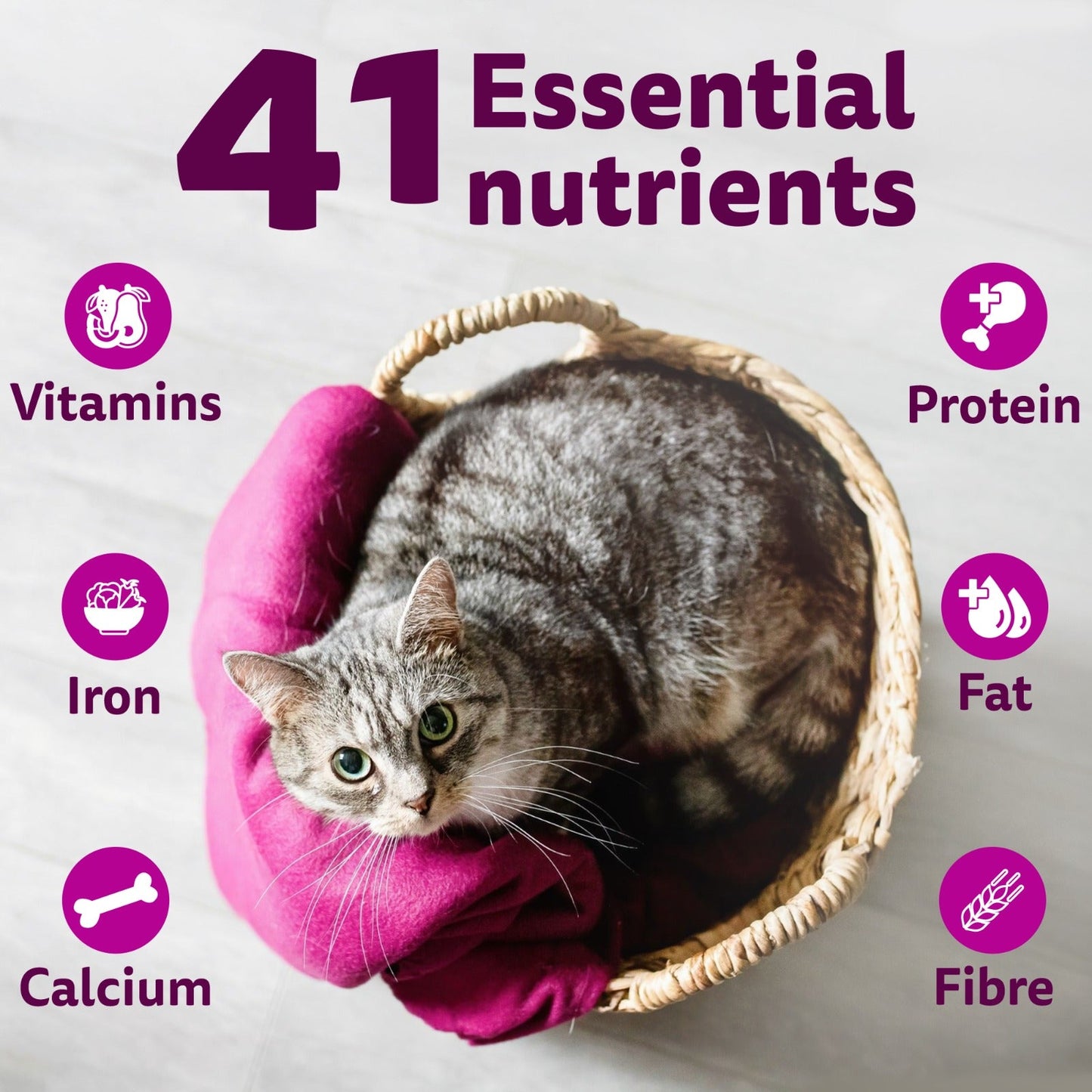 Whiskas Adult (1+ Years) Tuna Flavour Dry Cat Food - Heads Up For Tails