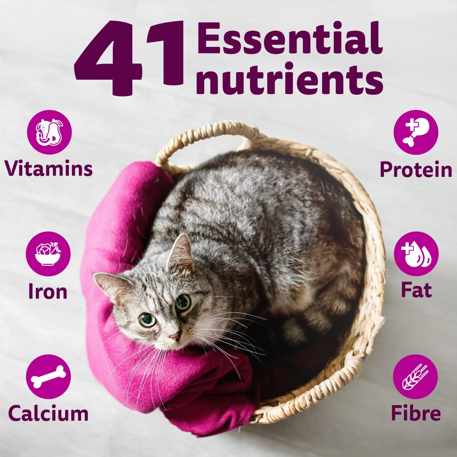 Whiskas Adult (1+ Years) Tuna Flavour Dry Cat Food - Heads Up For Tails