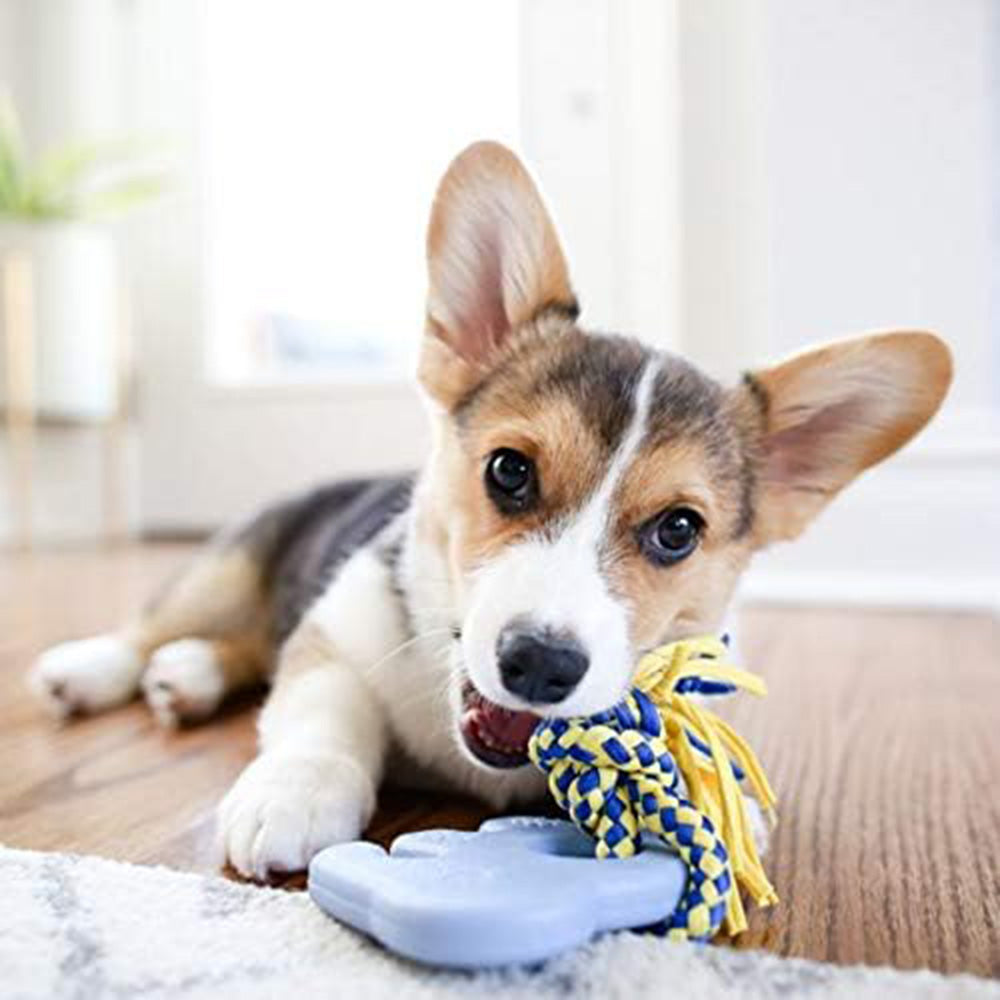 Zippy Paws Elliot The Elephant ZippyTuff Teether Chew Toy For Dog - Blue - Heads Up For Tails