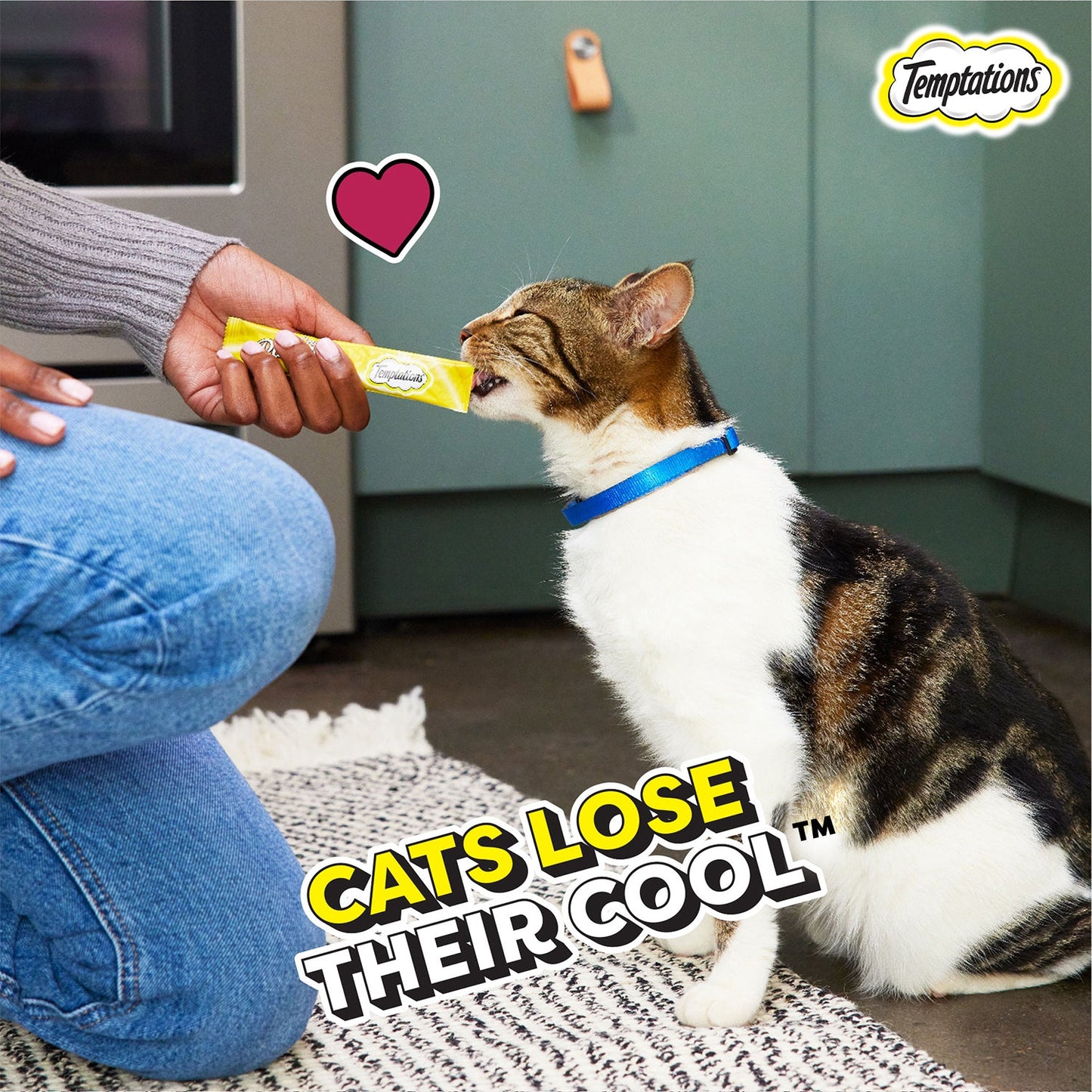 Temptations Creamy Purrrr-ee Salmon & Cheese Flavors Cat Treats - 240 gm (20 x 12gm) - Heads Up For Tails