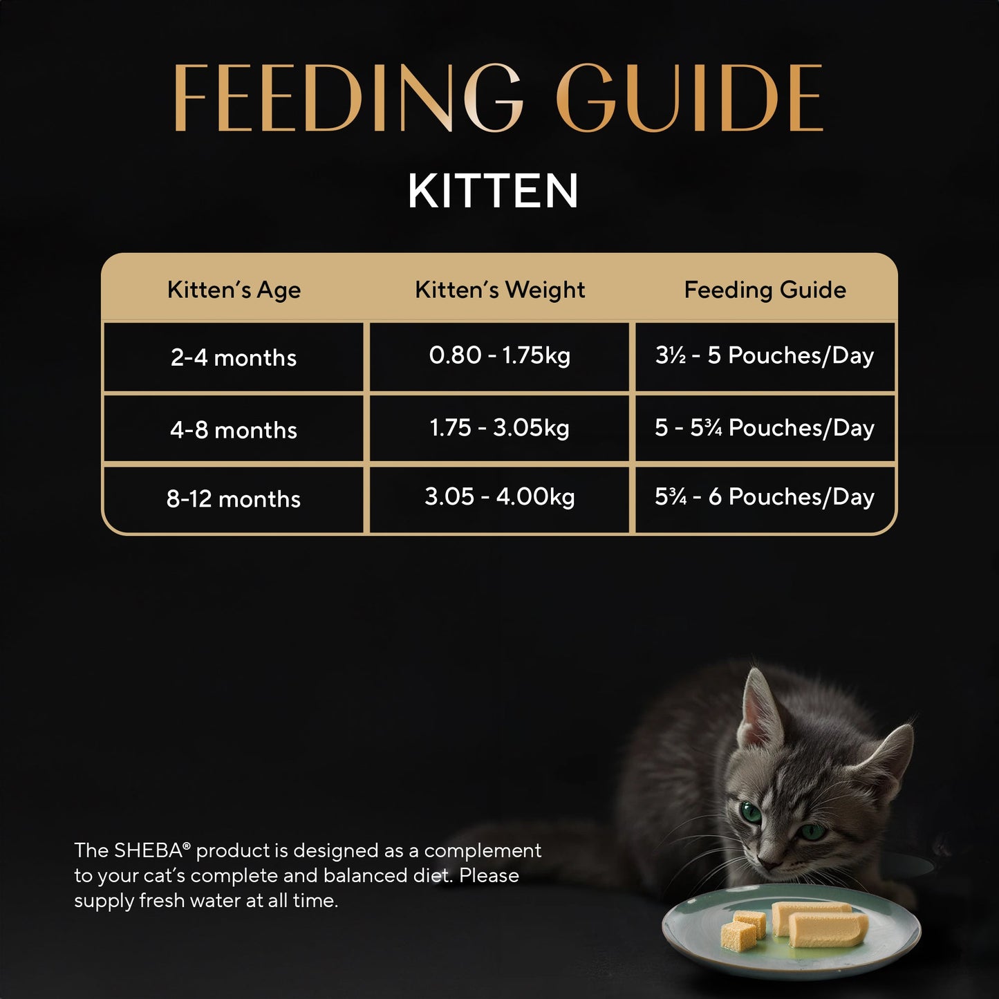 Sheba Maguro Pate Wet Food For Kitten - 70 gm - Heads Up For Tails