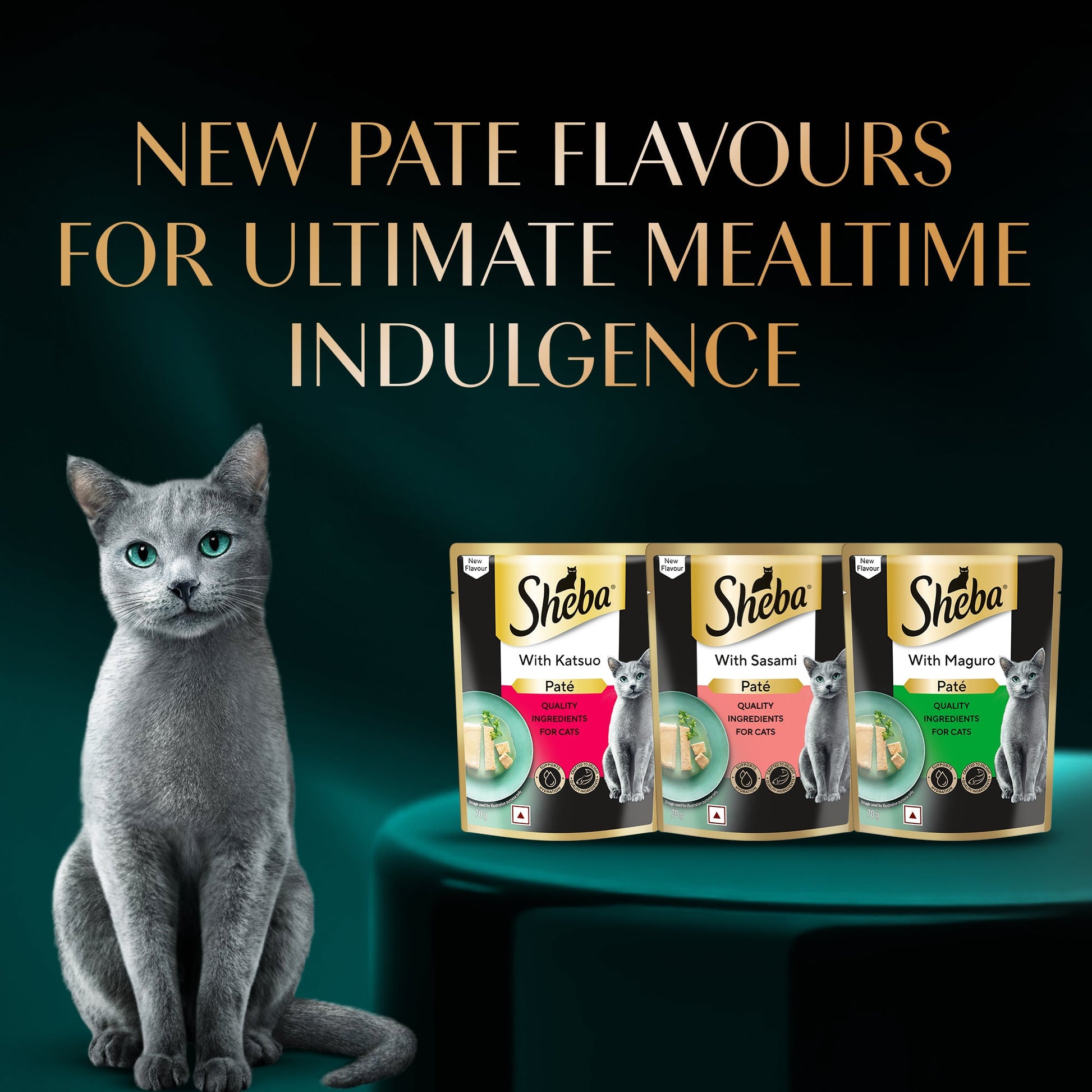 Sheba Maguro Pate Wet Food For Adult Cat - 70 gm - Heads Up For Tails