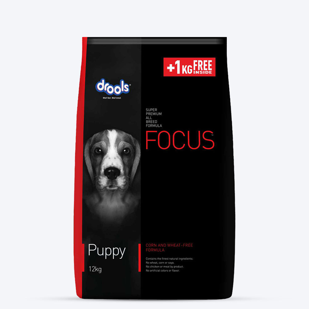 Drools Focus Puppy Super Premium Dry Puppy Food - Heads Up For Tails