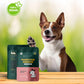 Paws For Greens Vegan Beetroot & Apple Treats For Dog - 100 gm - Heads Up For Tails