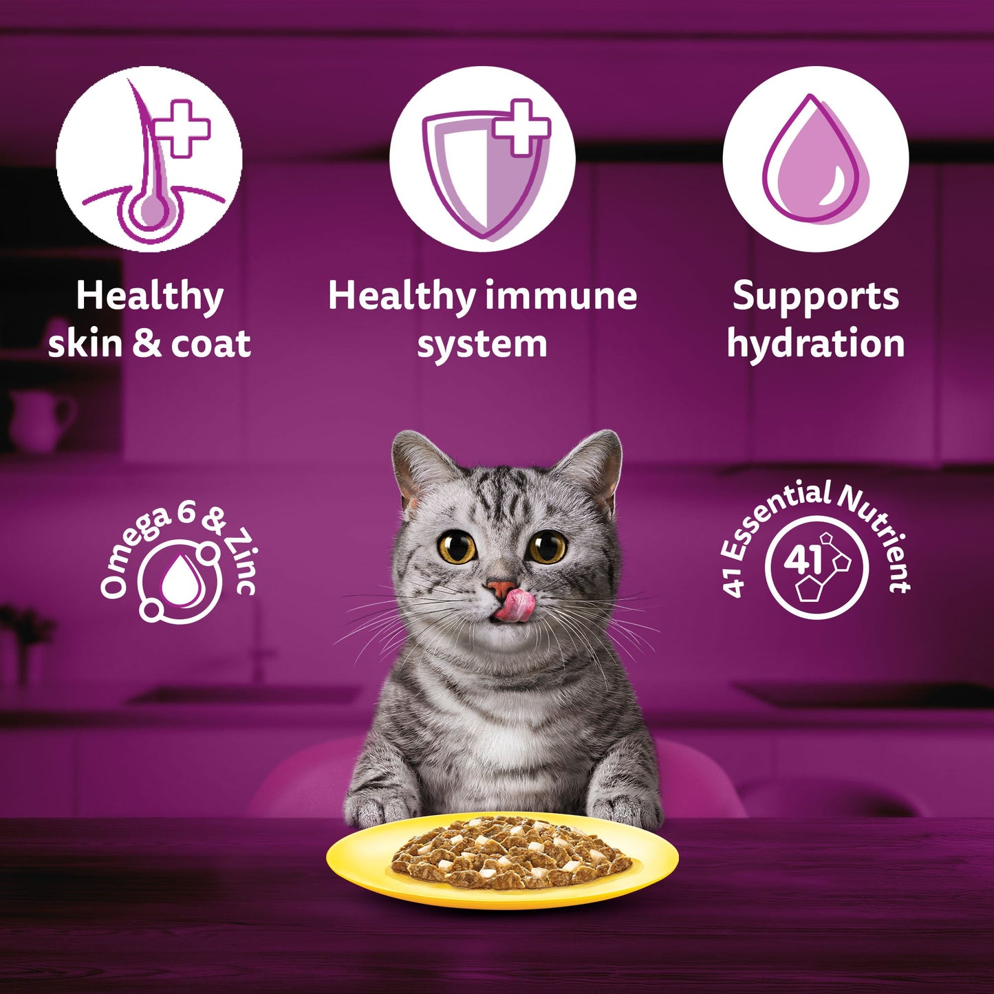 Whiskas Ocean Fish Wet Food For Adult Cat - 80 gm Pack - Heads Up For Tails