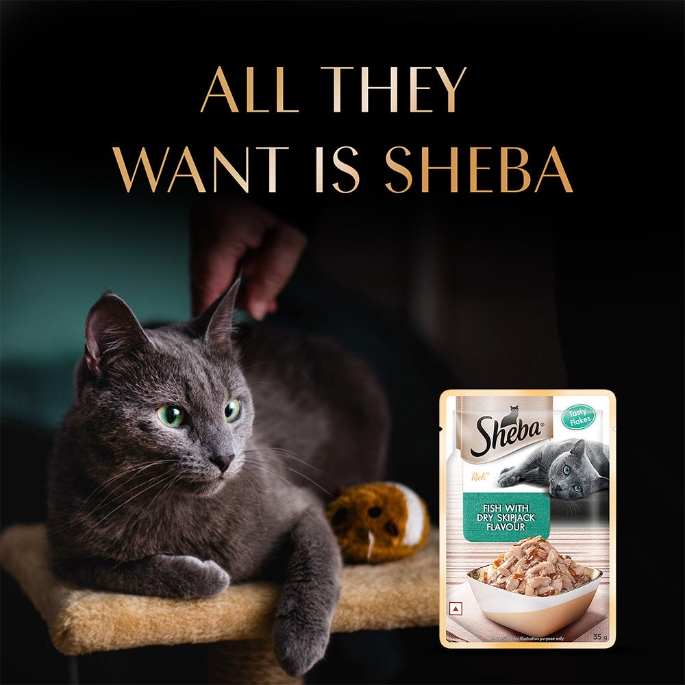 Sheba Fish With Dry Skipjack Flake Adult Cat Wet Food - 35 gm Packs