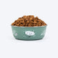 HUFT Ferns & Fur Printed Steel Bowl For Dog - Sage Green - Heads Up For Tails
