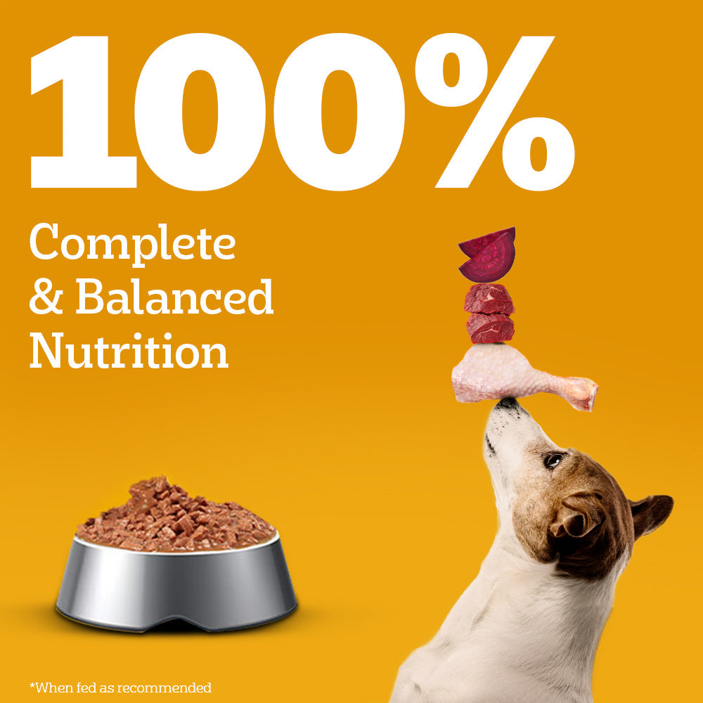 Pedigree Chicken & Liver Chunks in Gravy Adult Wet Dog Food - 70 g packs - Heads Up For Tails