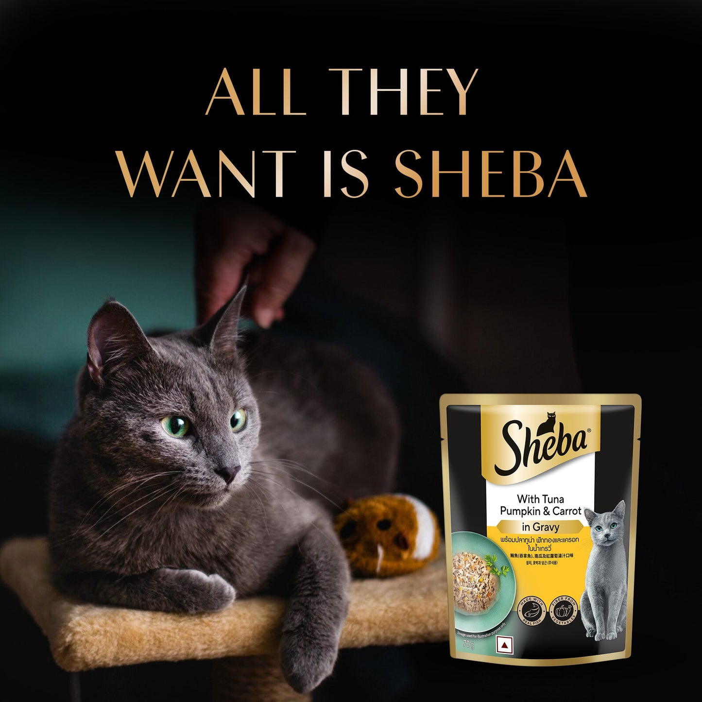 Sheba Rich Premium (1+ Years) Tuna Pumpkin & Carrot In Gravy Adult Wet Cat Food - 70 gm Packs