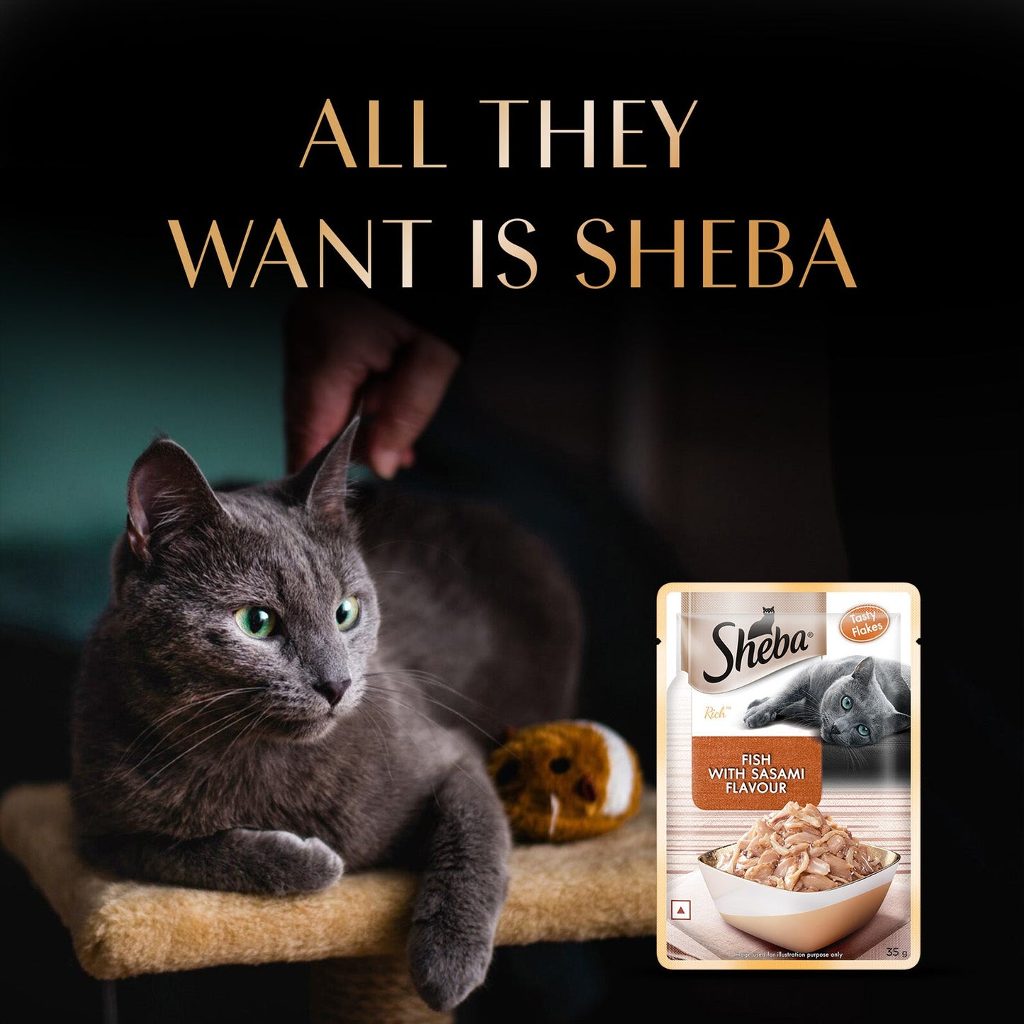 Sheba Rich Premium Adult (1+ Years) Fish with Sasami Flavour Wet Cat Food - 35 gm Packs