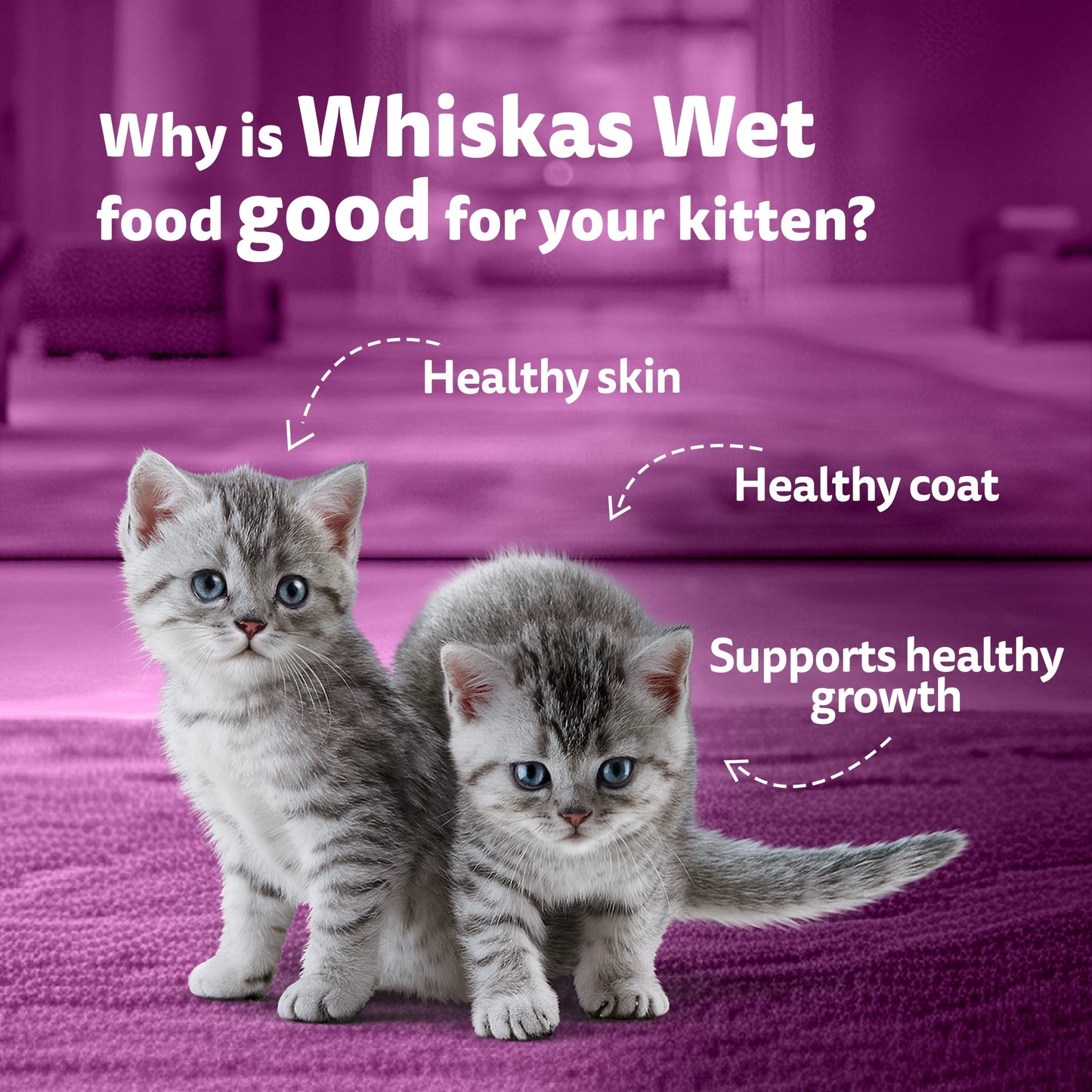 Whiskas Tuna in Jelly (2-12 Months) Wet Food For Kitten - 80 gm Pack - Heads Up For Tails