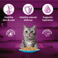 Whiskas Tuna in Jelly  (1+ Years) Wet Food For Adult Cat - 80 gm Pack - Heads Up For Tails