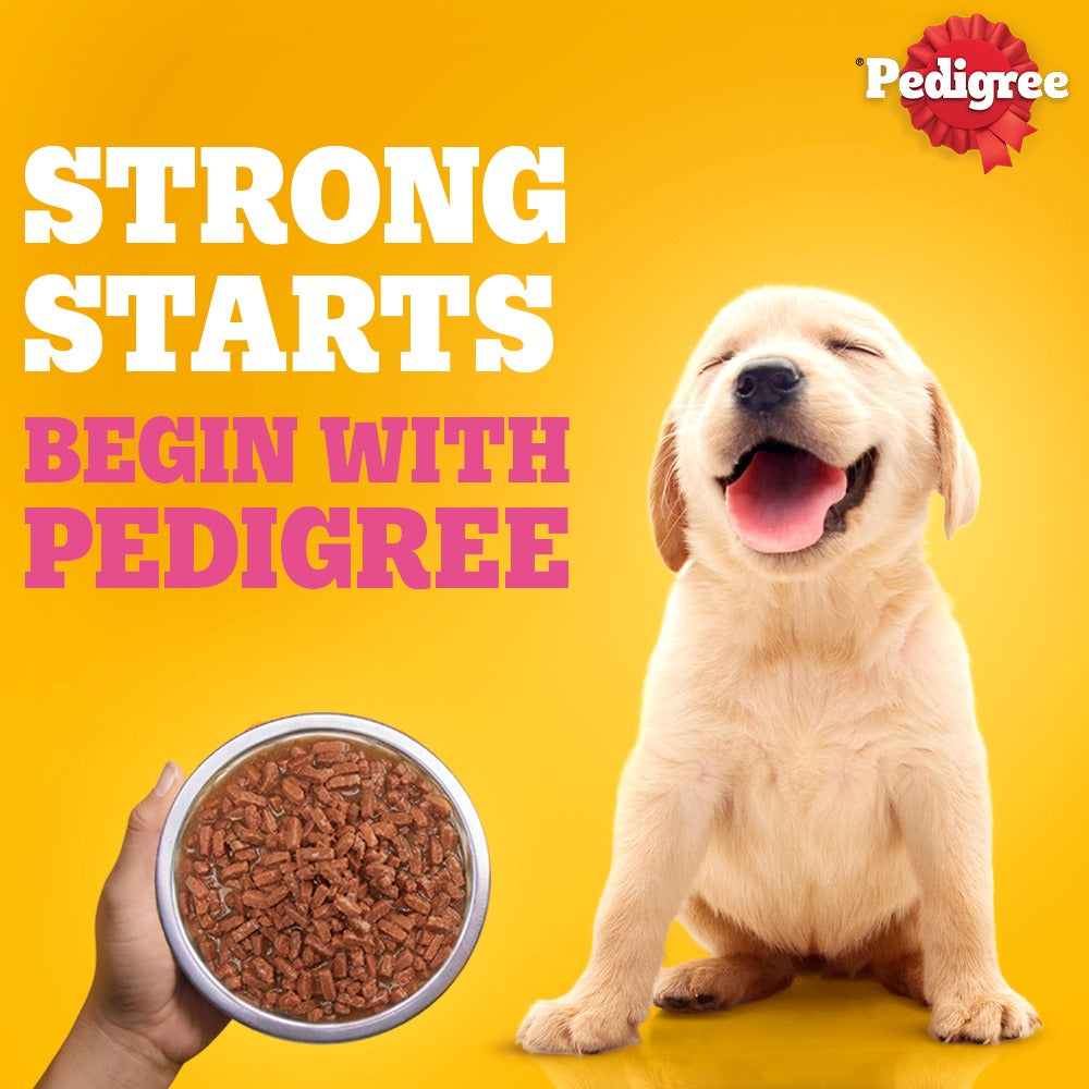 Pedigree Chicken & Liver Chunks In Gravy Puppy Wet Food - 130 g - Heads Up For Tails