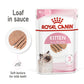 Royal Canin Loaf Wet Kitten Food - 85 g packs - Heads Up For Tails