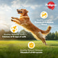 Pedigree Chicken & Vegetables Dry Food For Adult Dog