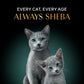 Sheba Deluxe Premium (1+ Years) Tuna Flakes & Salmon In Gravy Adult Cat Wet Food - 85 gm - Pack