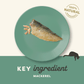 Applaws 100% Natural Whole Mackerel Loin Cat Treat - 30 g - Heads Up For Tails