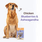 HUFT Yum Nums Senior Dog Treats Soft & Chewy Sticks Blueberries & Ashwagandha With Chicken - 70 gm - Heads Up For Tails