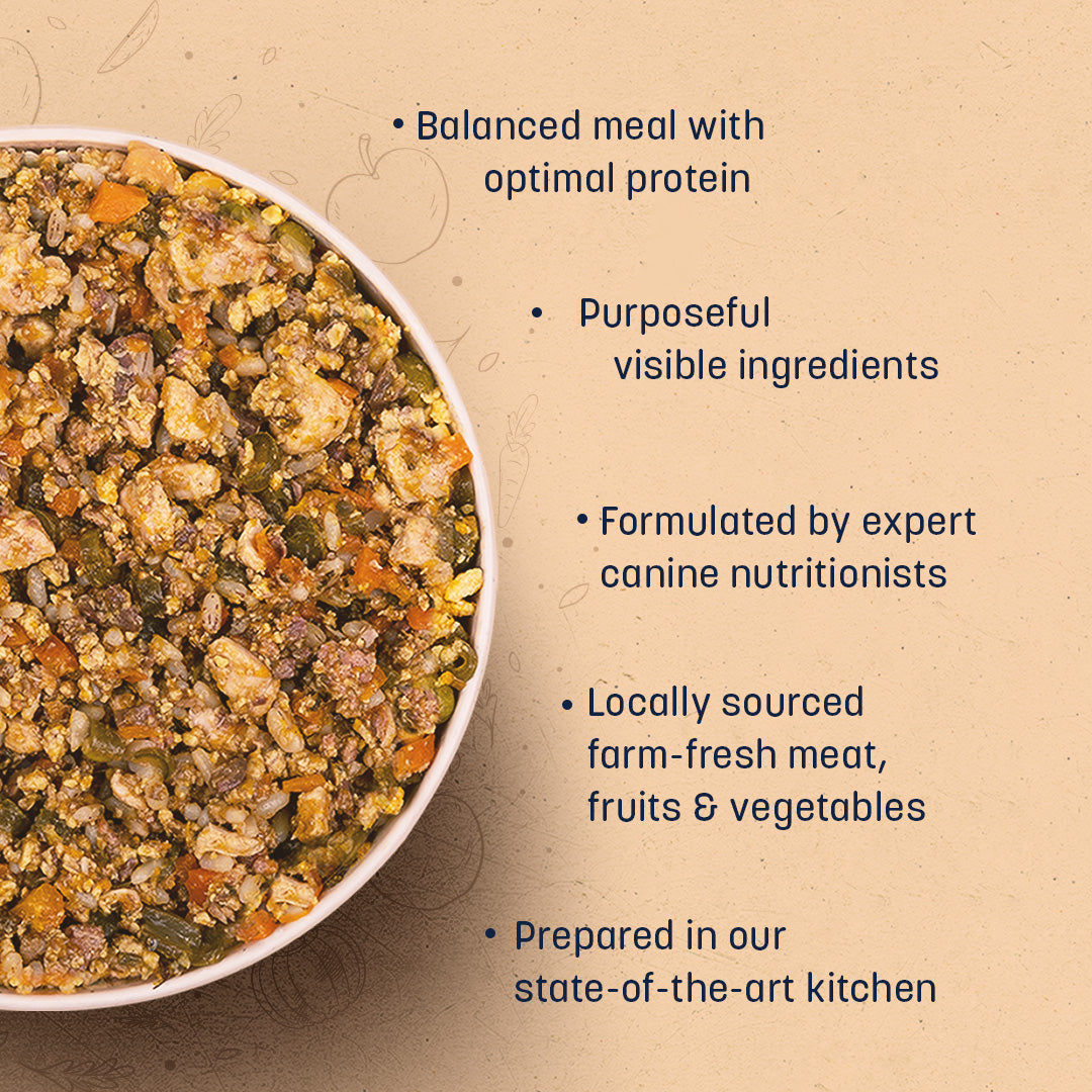HUFT Wholesome Chicken, Brown Rice Food & Pumpkin Flavour Treats Combo For Dog - Heads Up For Tails