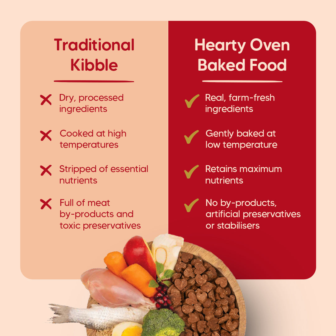 Hearty Lamb & Blueberry Oven-Baked Adult Dog Food by Heads Up for Tails, suitable for all breeds, 60% animal protein.