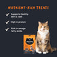 Meowsi by HUFT Power Bites, Chicken, Fish & Psyllium Husk, 50 gm, supports hairball control for cats.