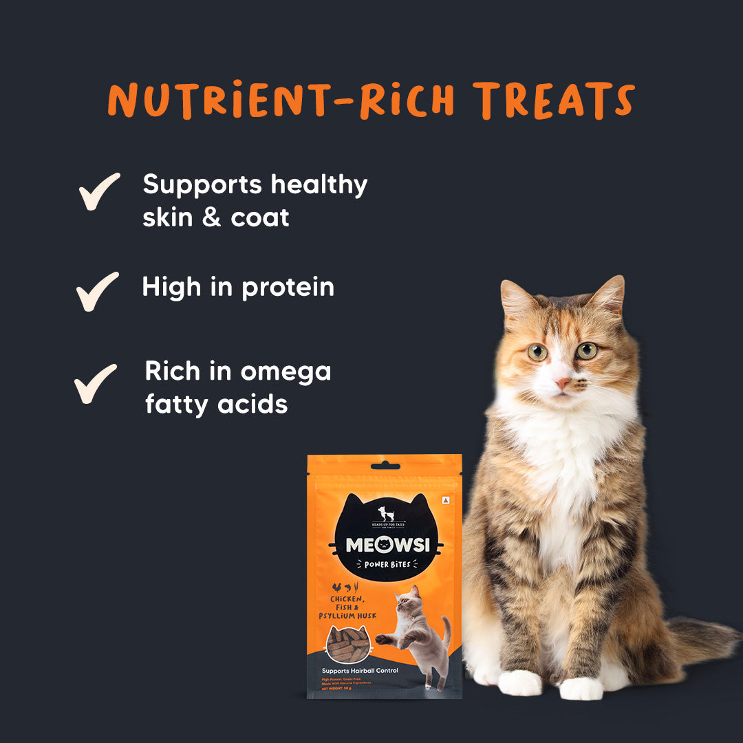 Meowsi by HUFT Power Bites, Chicken, Fish & Psyllium Husk, 50 gm, supports hairball control for cats.
