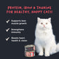 Meowsi by HUFT Chicken Breast with Duck Mousse Canned Cat Wet Food, 80 gm, includes vitamins and minerals, grain-free.