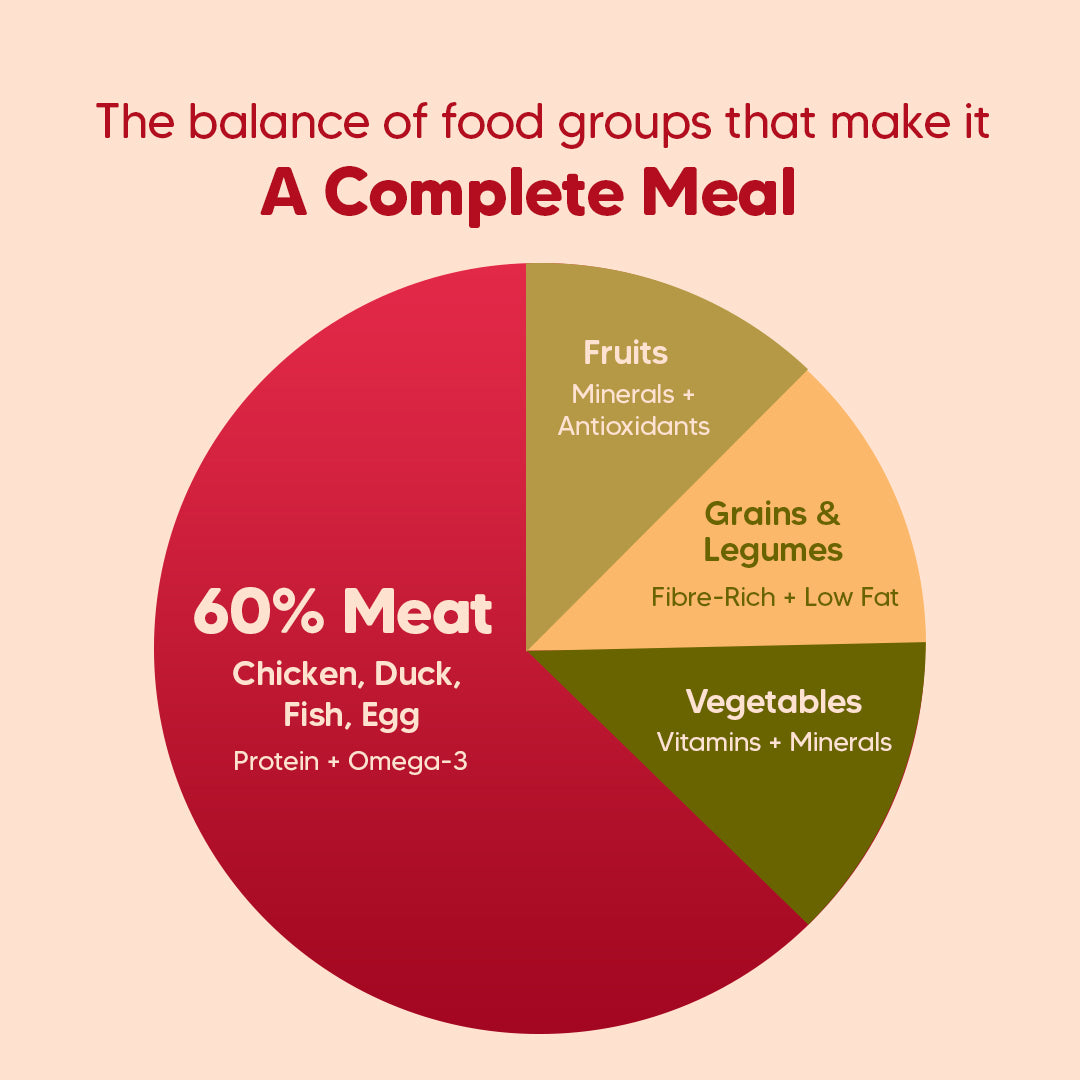 Hearty Oven-Baked Adult Dog Food €“ Chicken, Duck & Pumpkin, 250g, suitable for all breeds.