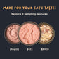 Meowsi by HUFT Chicken Breast p¢t© Canned Cat Wet Food, 80 gm, with vitamins and minerals, grain-free formula.