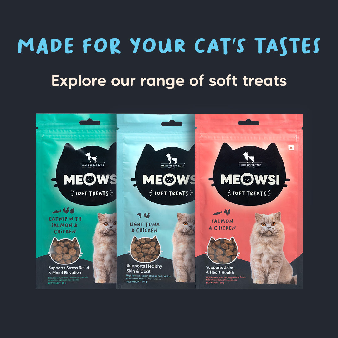 Meowsi by HUFT Light Tuna & Chicken Soft Cat Treats, 50 gm, supports healthy skin and coat with natural ingredients.