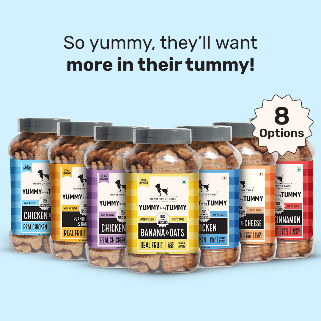 Heads Up for Tails Yummy Tummy Chicken & Oats Dog Biscuits, gluten-free, 8 options in jars, featuring real chicken and fruit