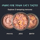 Meowsi by HUFT Tuna & Shrimp P¢t© Canned Cat Wet Food, 80 gm, with vitamins and minerals, grain-free formula.