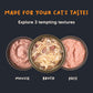 Meowsi by HUFT Chicken Breast in Broth Canned Cat Wet Food, 80 gm, with vitamins and minerals, grain-free.