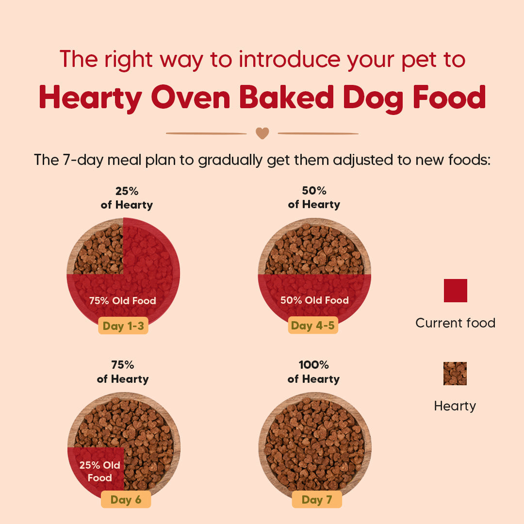 Hearty Lamb & Blueberry Oven-Baked Adult Dog Food by Heads Up for Tails, suitable for all breeds, 60% animal protein.