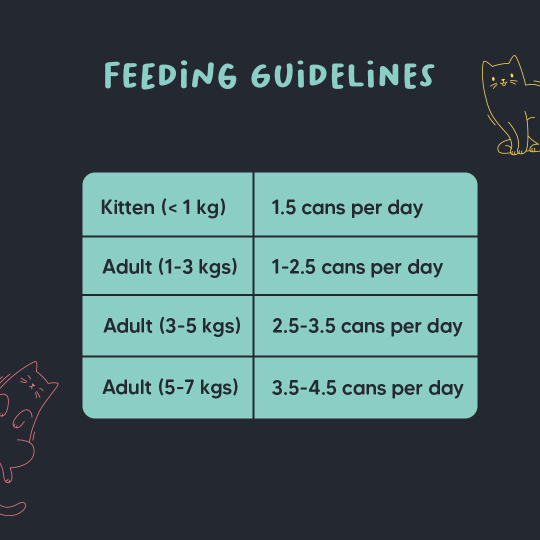 Meowsi by HUFT Tuna & Shrimp P¢t© Canned Cat Wet Food, 80 gm, with vitamins and minerals, grain-free formula.