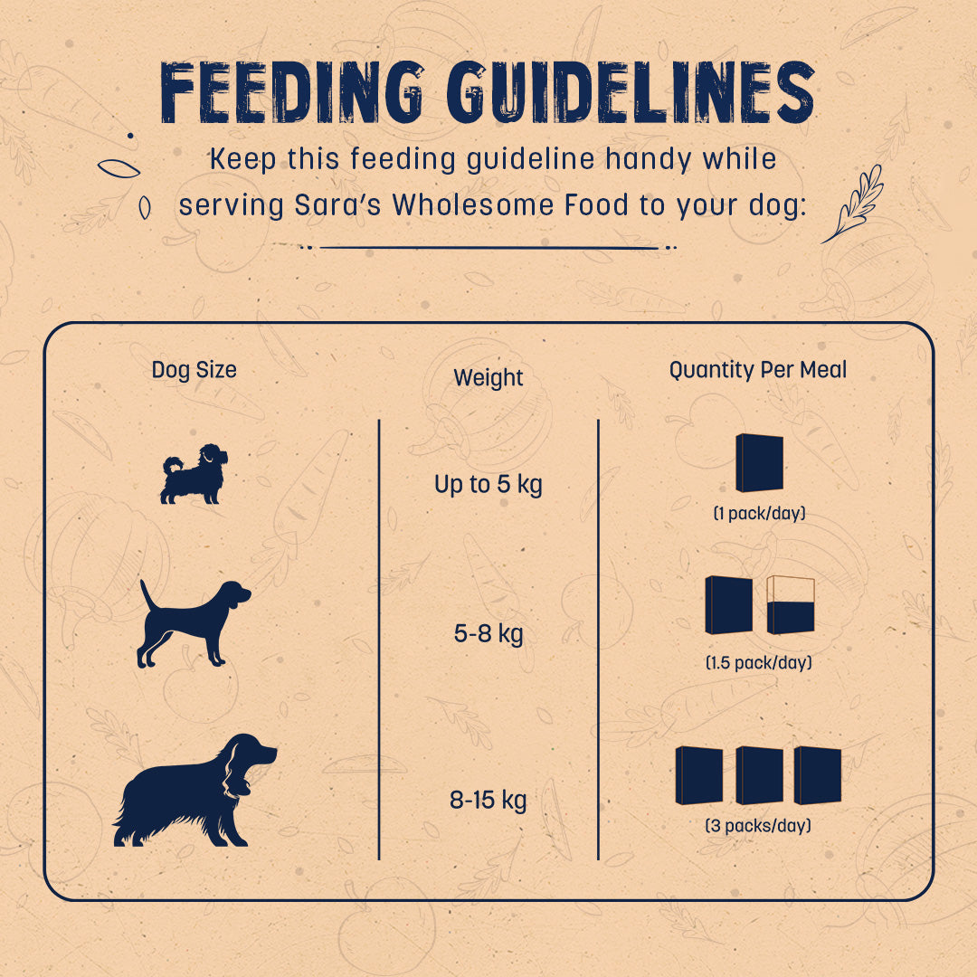 Sara's Wholesome Classic Chicken and Brown Rice Dog Food, pack of 10 x 100g, made with human-grade ingredients.