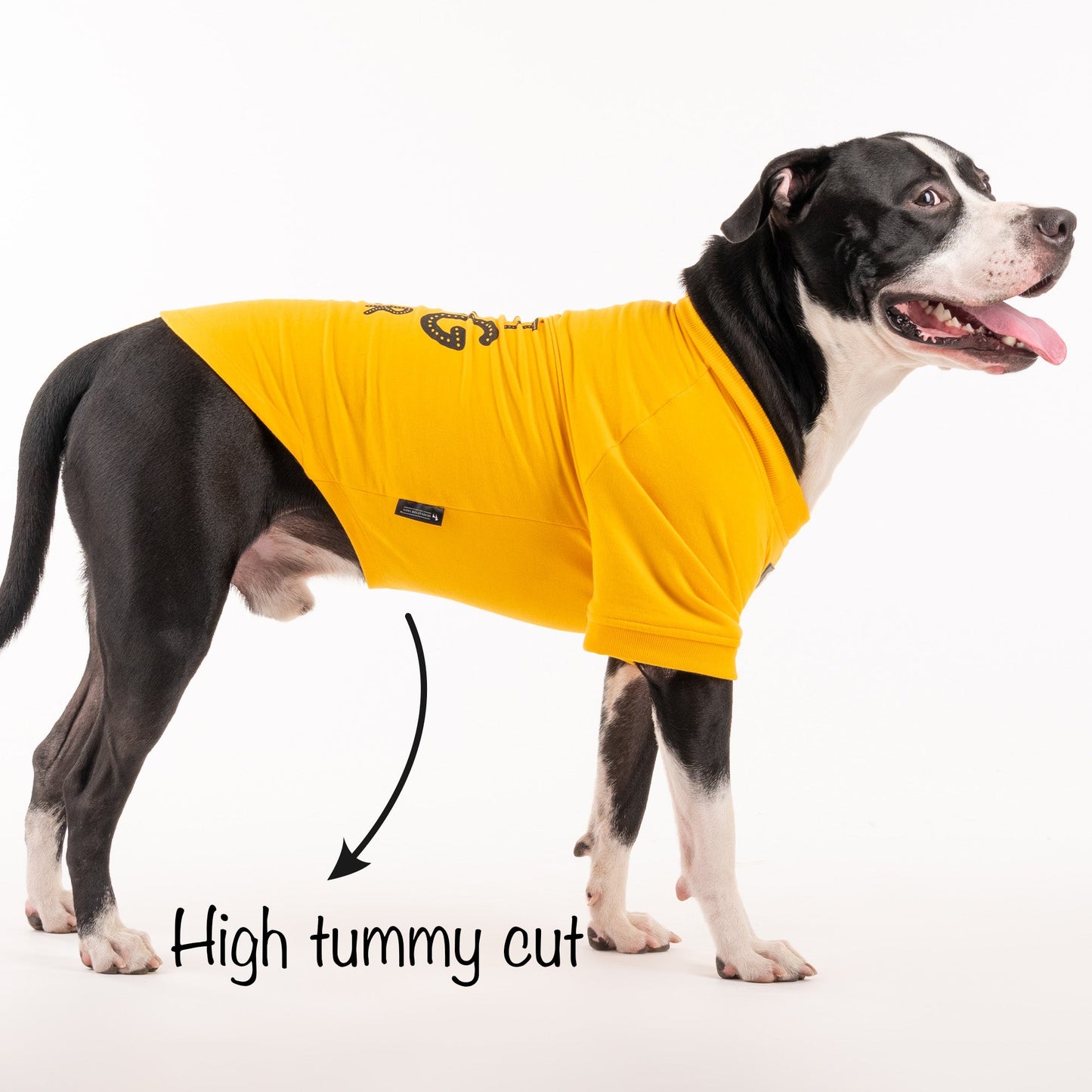 HUFT Best Dog Ever Pet Sweatshirt - Yellow - Heads Up For Tails