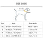 HUFT Spectrum Stripes Collar For Dog - Multicolor - Heads Up For Tails