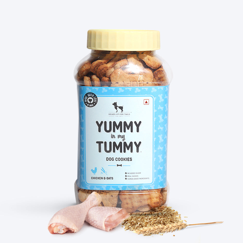 HUFT Sara's Rich Blend Bone Broth & YIMT Chicken & Oats Biscuits Combo For Dogs - Heads Up For Tails