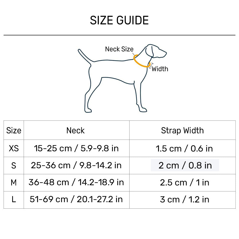 HUFT Dino Land Collar For Dog - Blue