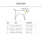 HUFT Zaggy Trail Collar For Dog - Yellow - Heads Up For Tails